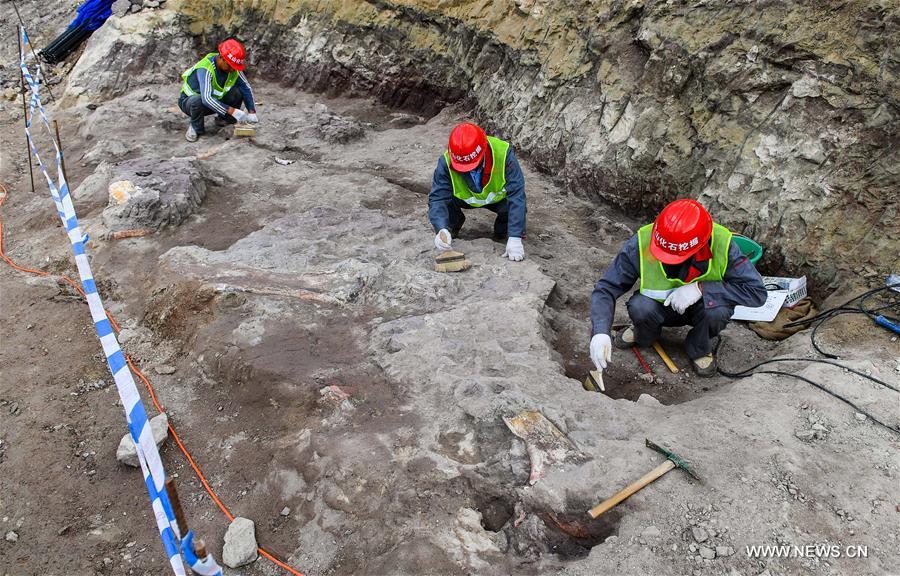 ?????? ????? ????? ???? ?? ???? ???? ?????