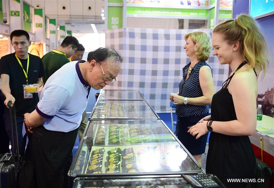 ?????: ??????? ???????? ?? ???? ?????? ?????? ???????