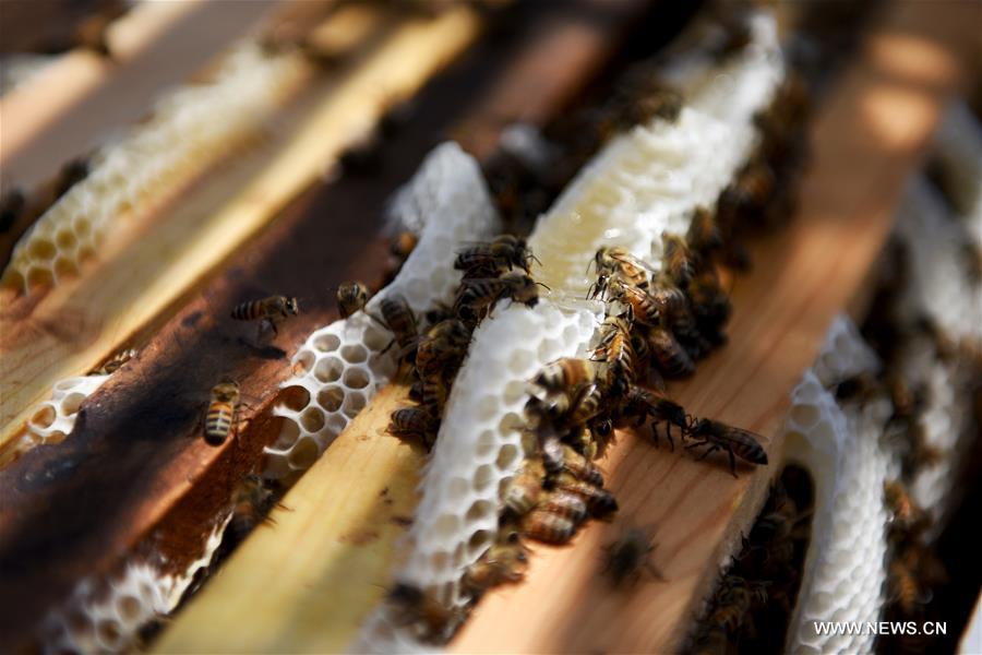 ????? ??????: ???? ???? ???? ?????? ??? ??? ?????? ?? ????? ?????