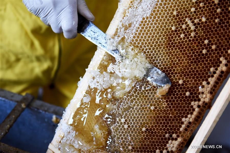 ????? ??????: ???? ???? ???? ?????? ??? ??? ?????? ?? ????? ?????