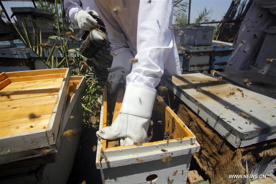 ????? ??????: ???? ???? ???? ?????? ??? ??? ?????? ?? ????? ?????