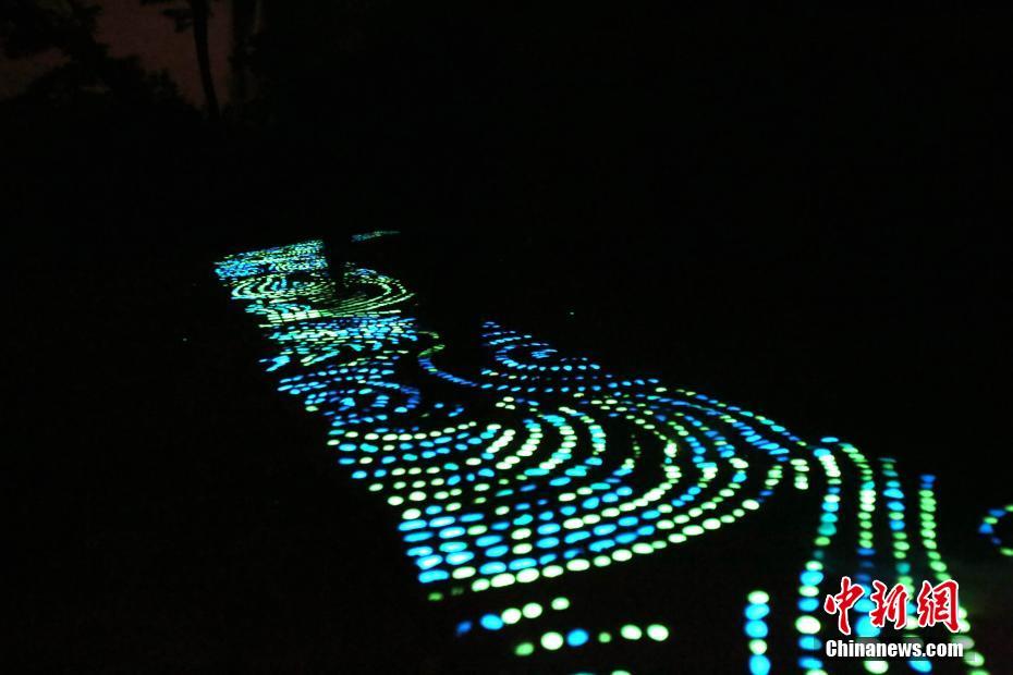 ????? ???? ???? ??? ????? ?????? ??? ?????