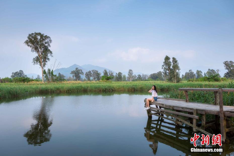 ?????? ???:???? ???? ???? ????? ?????? ??????