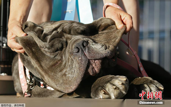 ????.. ???? ??? ?? ?????? ?? ??? 2017