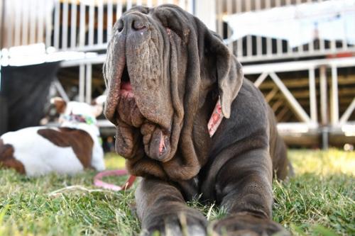 ????.. ???? ??? ?? ?????? ?? ??? 2017