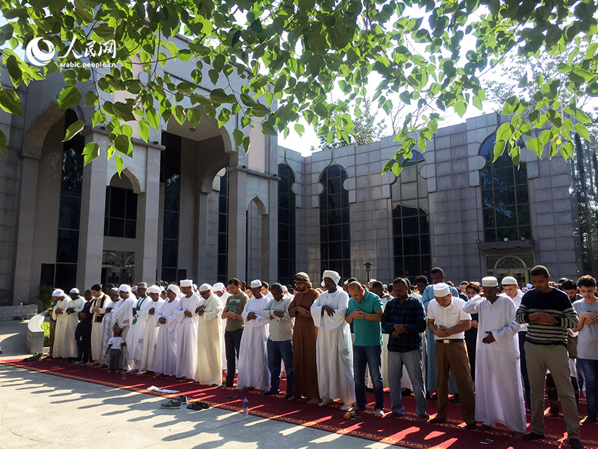 ??????..???? ???? ????? ???? ??? ????? ????? ??????? ????????? ?? ????