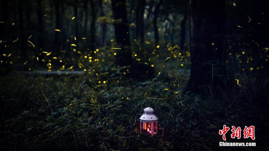 ???? ????.. ???????? ???? ??? ????