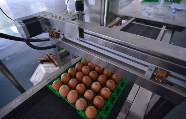 ????? ??? ??? ?????? ?????? ??? ??????? ?? ??? ???? ????