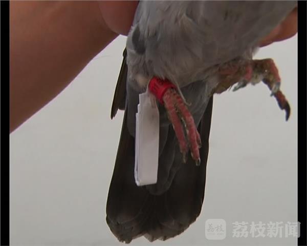 ???? ???? ????? ???? ??? ?????? ??????