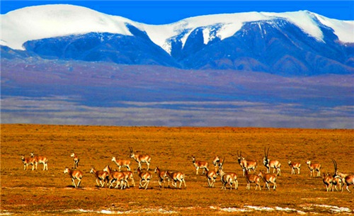 ???? : ???? ???????? ??? ??? ???? ????? ?????? ??????? ????? ?????