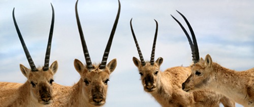 ???? : ???? ???????? ??? ??? ???? ????? ?????? ??????? ????? ?????