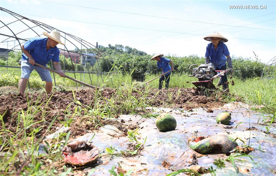 ???? ?? ????? 83 ???? ???? ??????? ?? ??? ?????