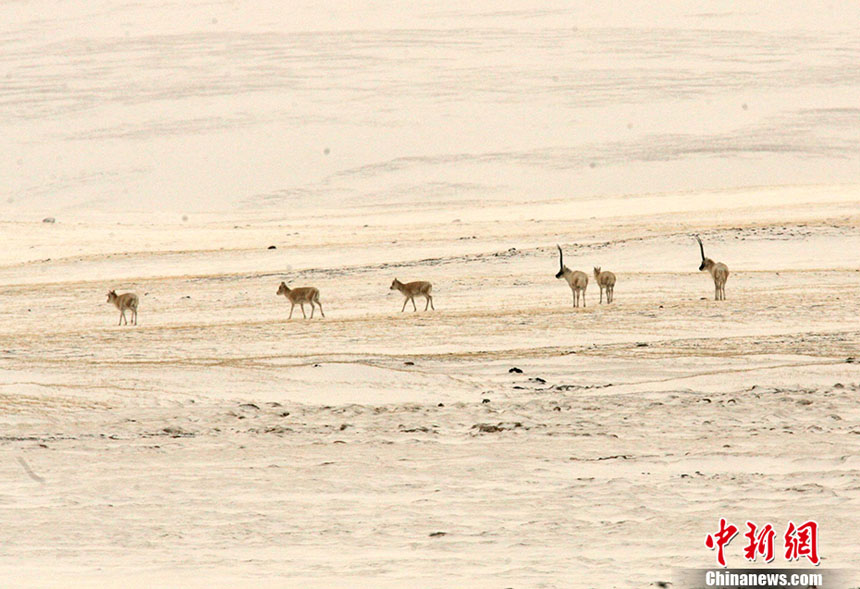 ??????: ??????? ??????? ?? ????? ??? ??? ?????????