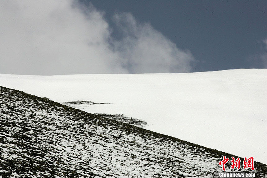 ??????: ??????? ??????? ?? ????? ??? ??? ?????????