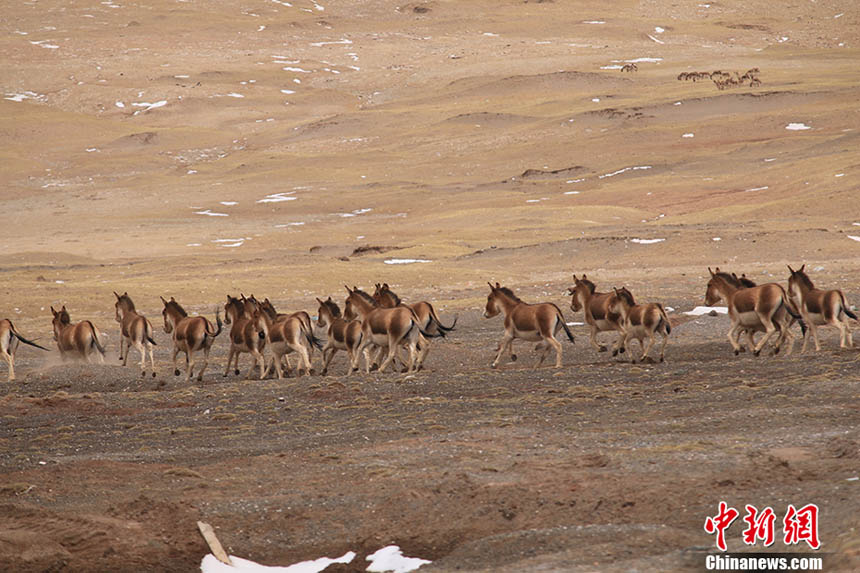 ??????: ??????? ??????? ?? ????? ??? ??? ?????????