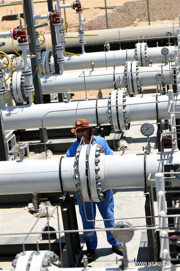 ????? ??????: ????? ????? ?????? ????? ?? ??????? ?????? ?????? ???????? ?? ???