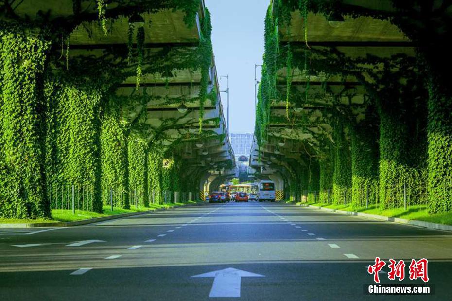 ??????: ??? ???? ????? ??? 