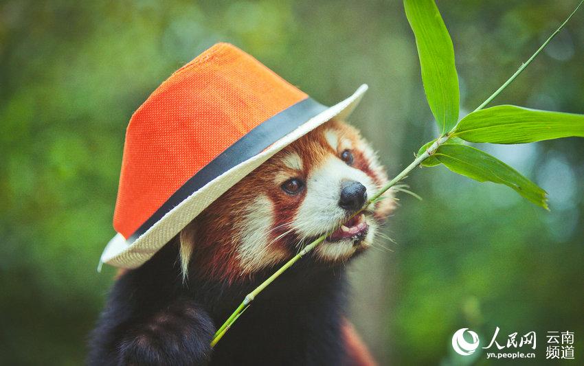 ????? ??? ?????? ????? ?? ????? ??????? ??????