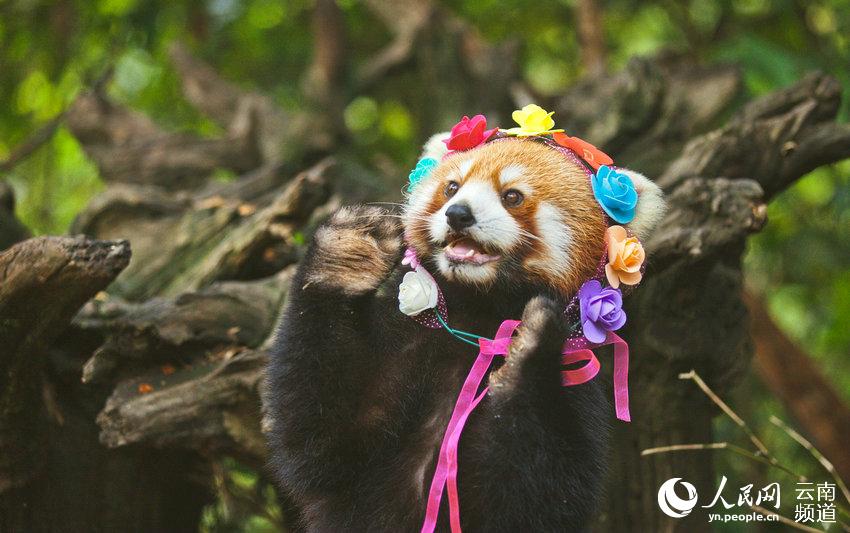 ????? ??? ?????? ????? ?? ????? ??????? ??????