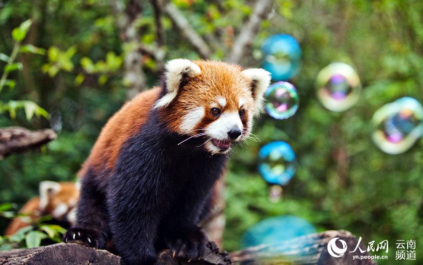 ????? ??? ?????? ????? ?? ????? ??????? ??????