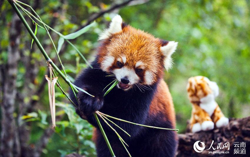 ????? ??? ?????? ????? ?? ????? ??????? ??????