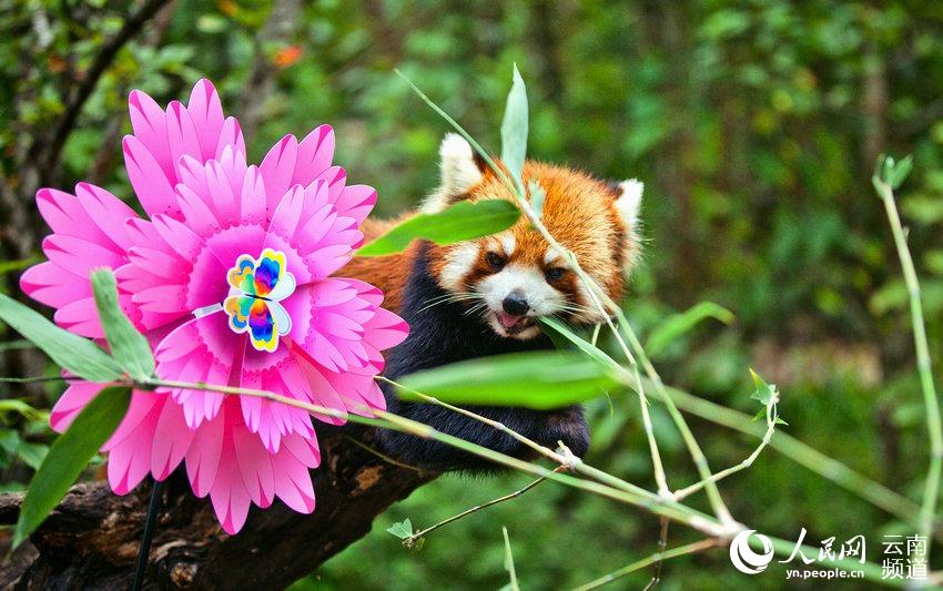 ????? ??? ?????? ????? ?? ????? ??????? ??????