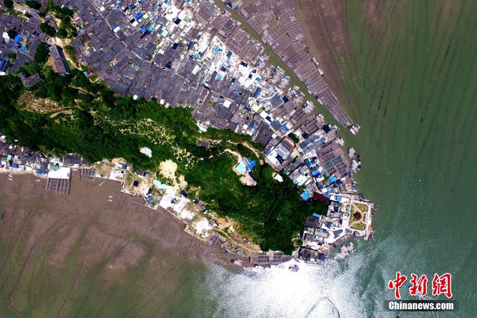 ????? ????? ?? ???? ?????? ???? ?? ?????