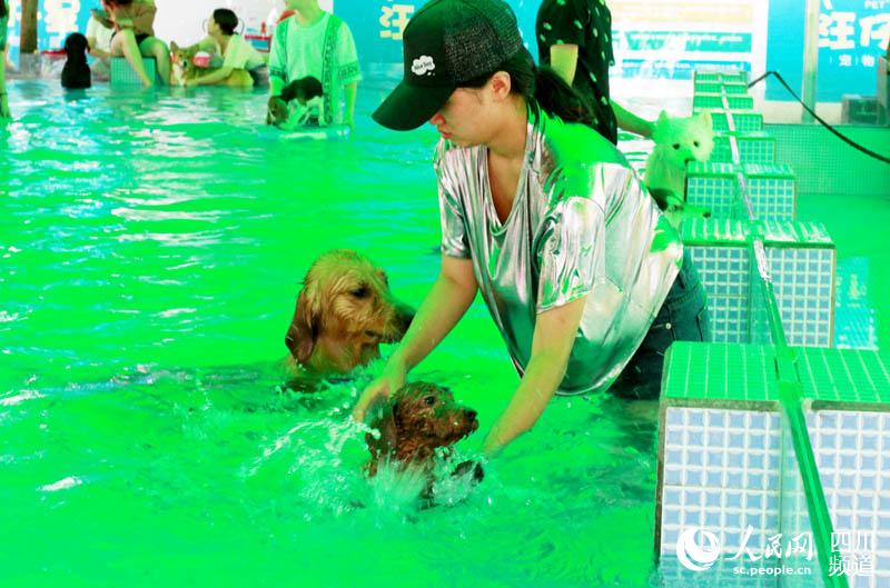 ????? ????????? ??????? ???? ?????? ?? ??????