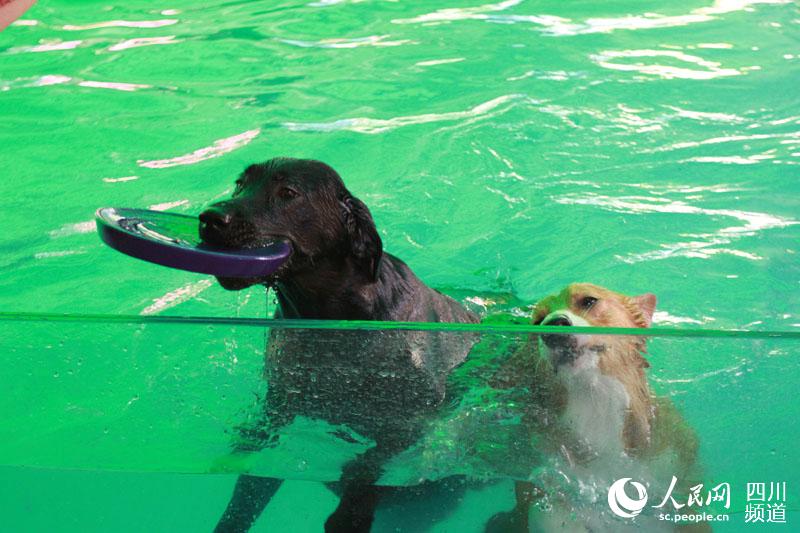 ????? ????????? ??????? ???? ?????? ?? ??????