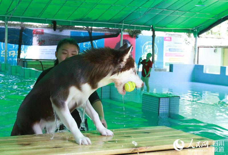 ????? ????????? ??????? ???? ?????? ?? ??????