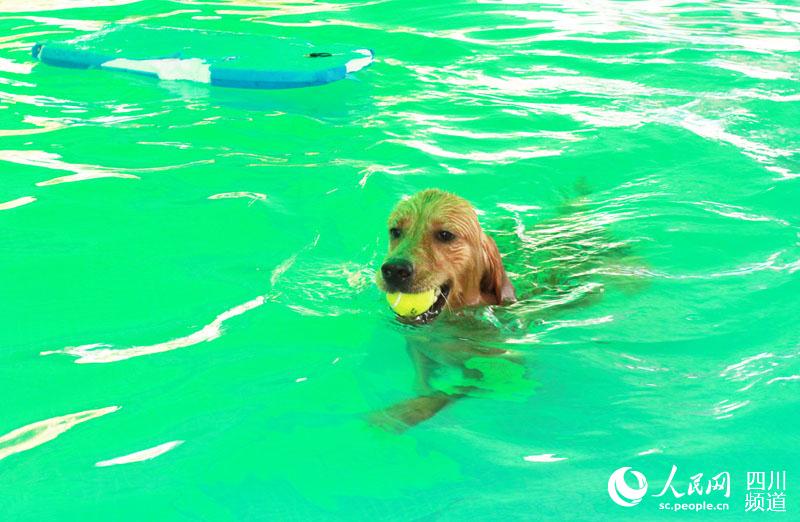 ????? ????????? ??????? ???? ?????? ?? ??????