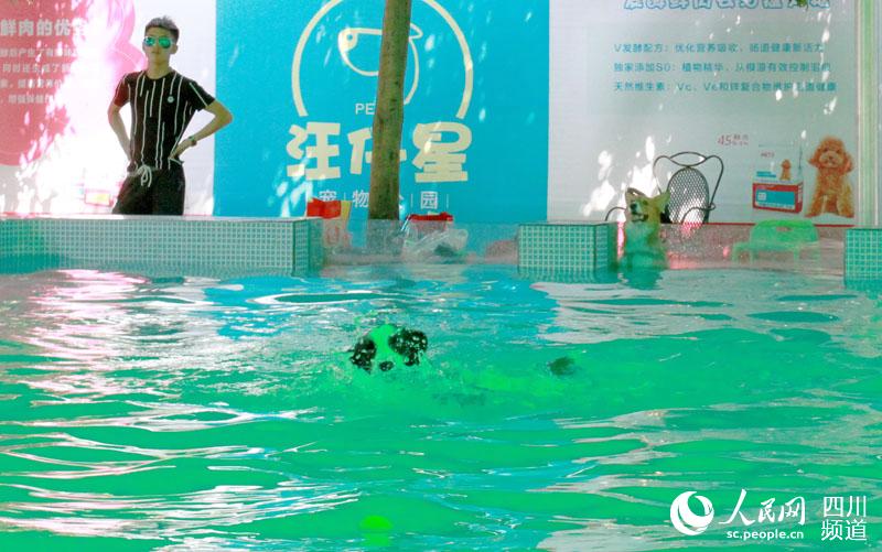 ????? ????????? ??????? ???? ?????? ?? ??????