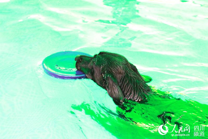 ????? ????????? ??????? ???? ?????? ?? ??????