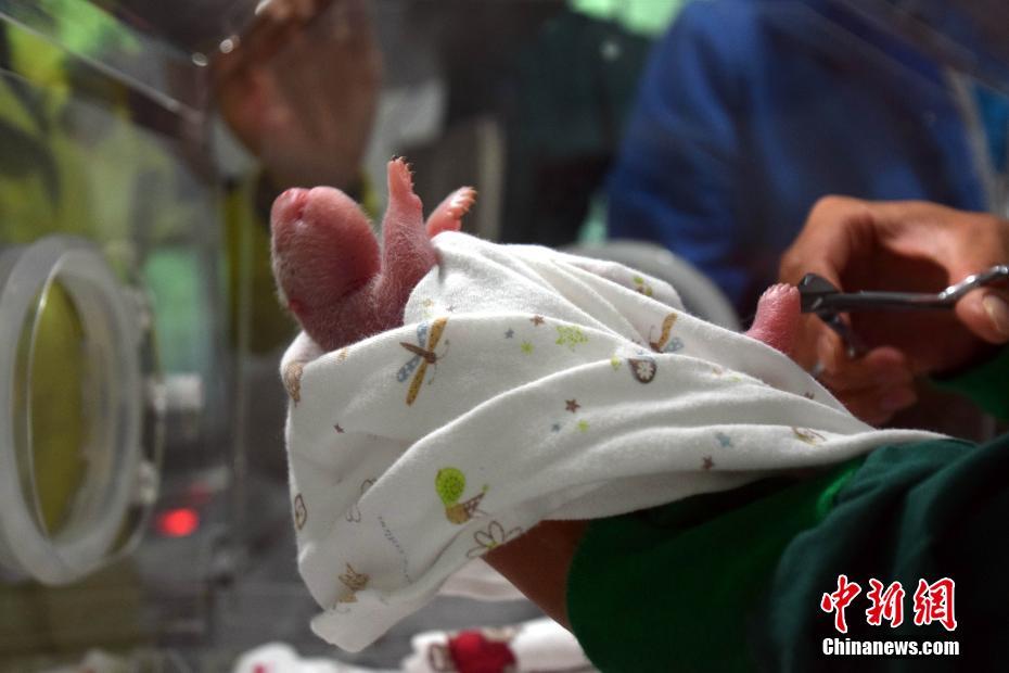 ????? ??? ??? ????? ?????? ?? ??????  ?? ???? ????? ?? ??????