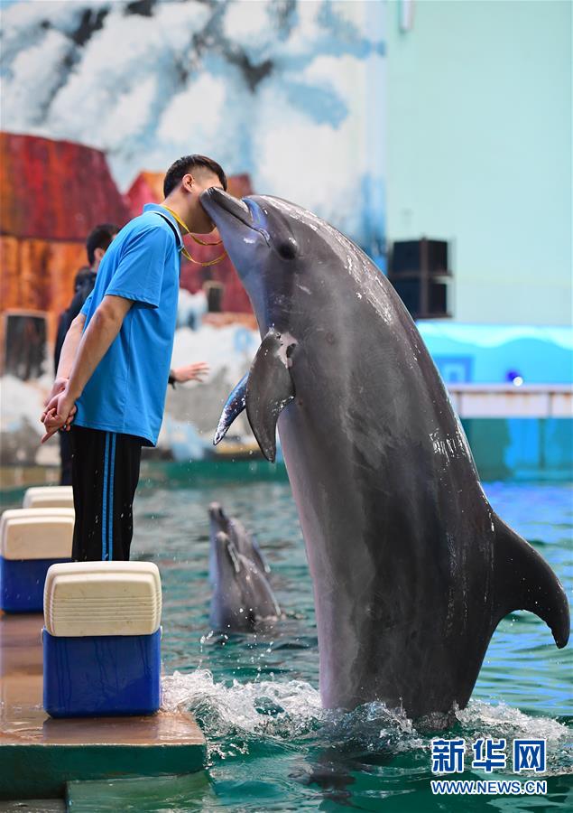 ????? ???? ????????: 