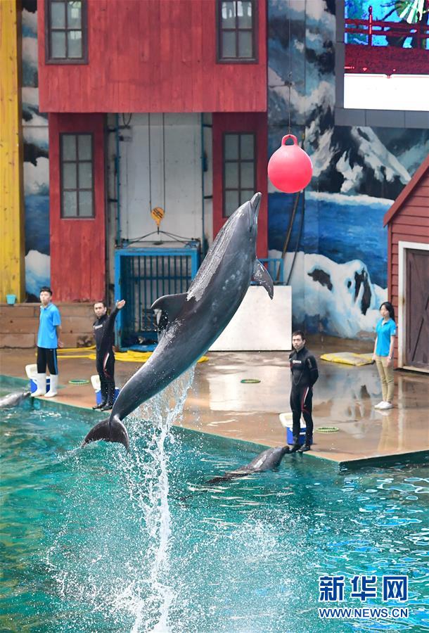 ????? ???? ????????: 