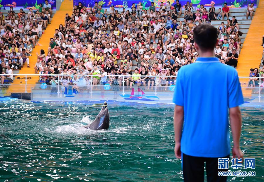 ????? ???? ????????: 