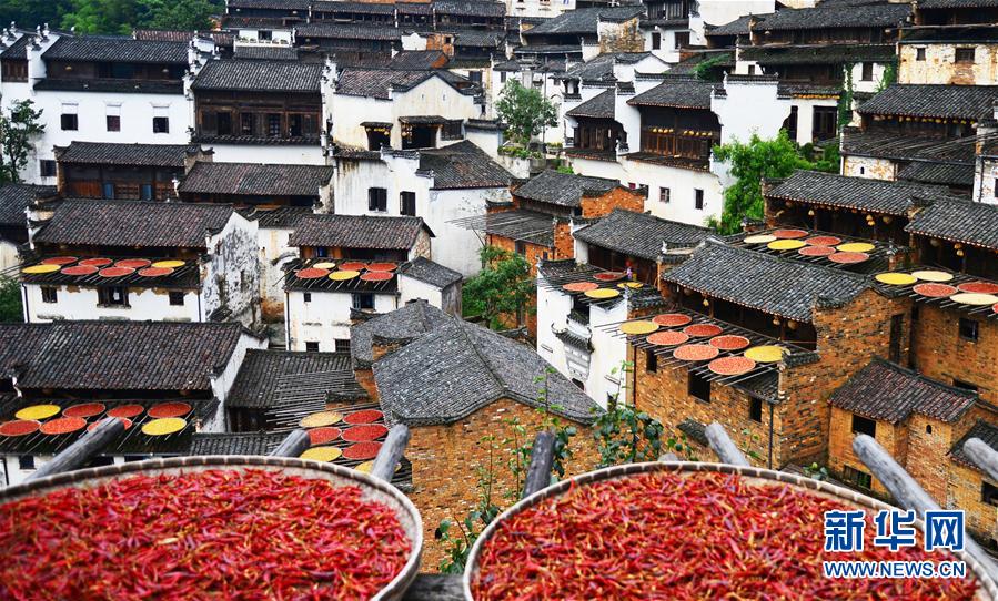 ????? ???????? ???????? ?? ????? ??? ??????