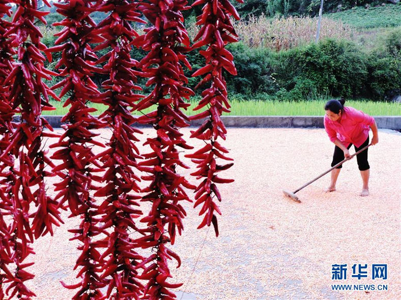 ????? ???????? ???????? ?? ????? ??? ??????