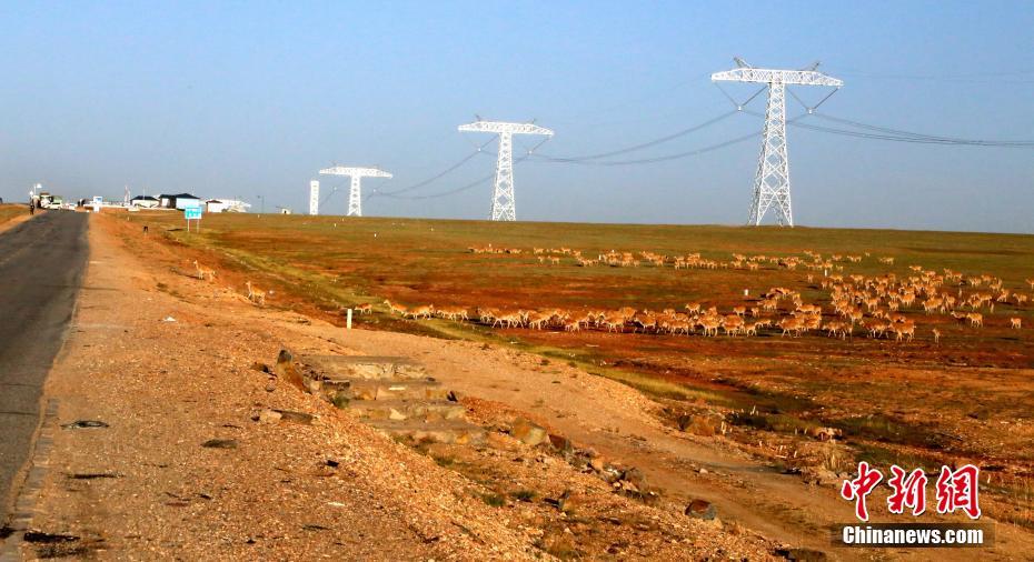 ???? ?????? ?????? ??????? ?? ??? ???