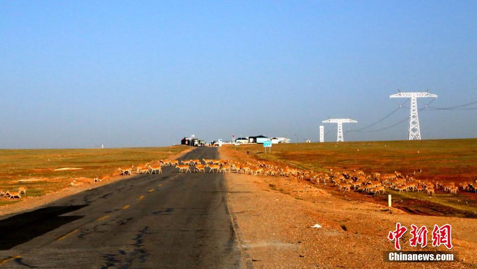 ???? ?????? ?????? ??????? ?? ??? ???