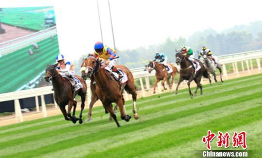 ?????:?????? ???? ??????? ?? ????? ????? ????? ??????? ?? ????? ????????