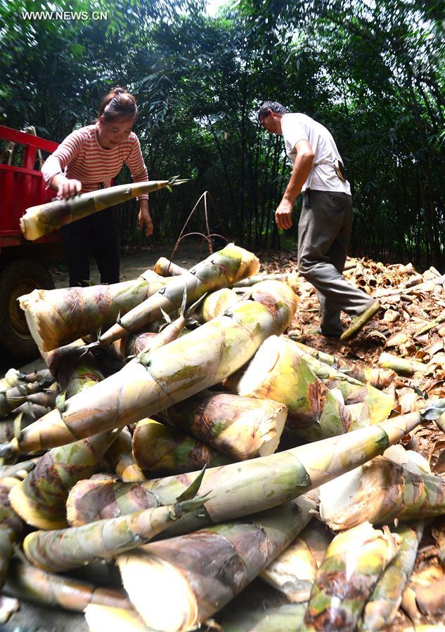 ?????? ?? ????? ??????? ?? ????? ??????? ????? ????? ?????? ??????