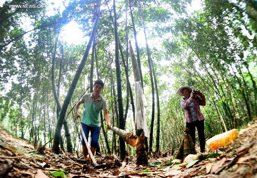 ?????? ?? ????? ??????? ?? ????? ??????? ????? ????? ?????? ??????