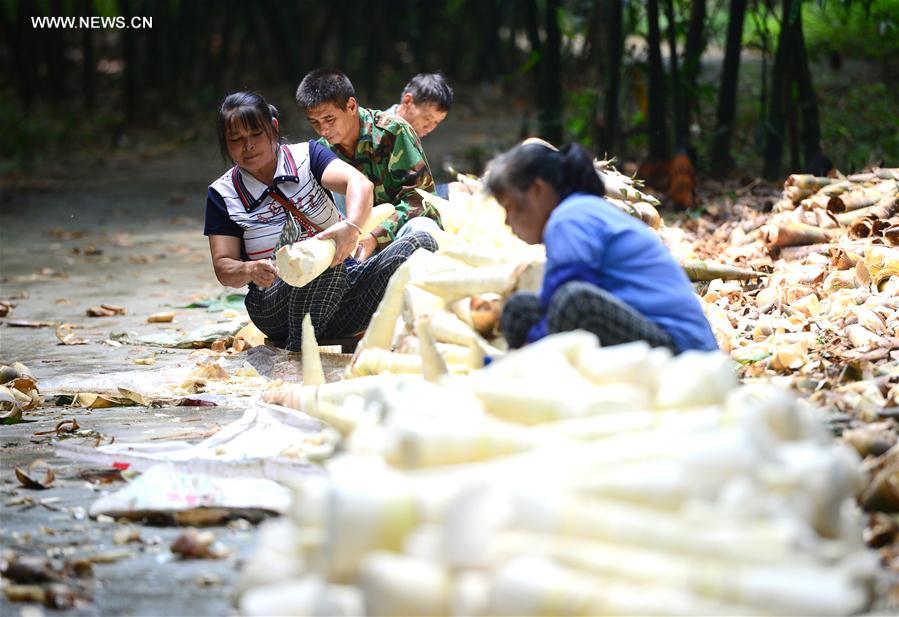 ?????? ?? ????? ??????? ?? ????? ??????? ????? ????? ?????? ??????