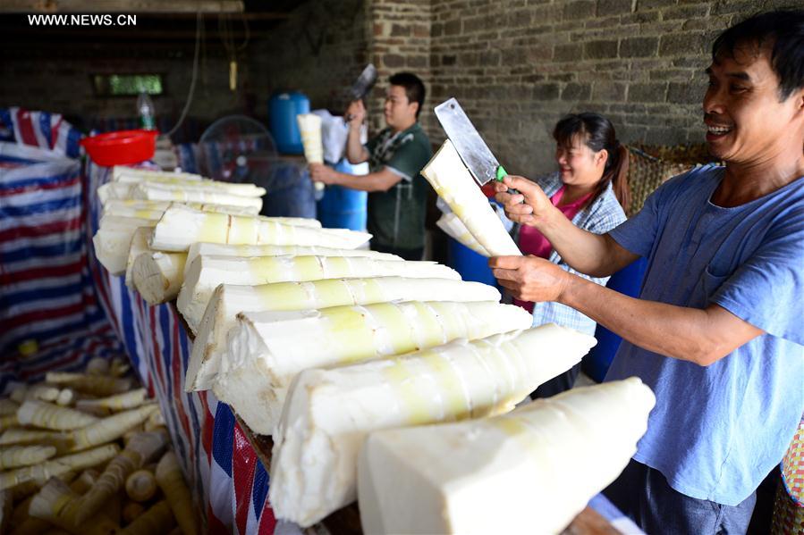 ?????? ?? ????? ??????? ?? ????? ??????? ????? ????? ?????? ??????