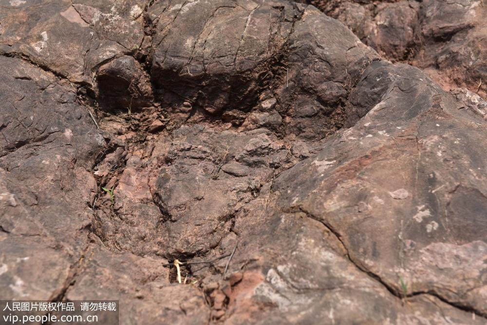 ?????? ???? ????? ??????????? ?? ???????? ?????? ???????