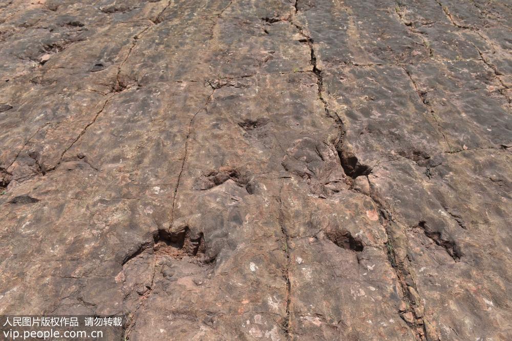 ?????? ???? ????? ??????????? ?? ???????? ?????? ???????