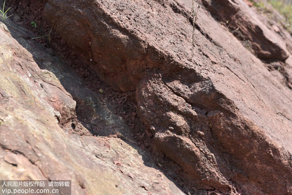 ?????? ???? ????? ??????????? ?? ???????? ?????? ???????