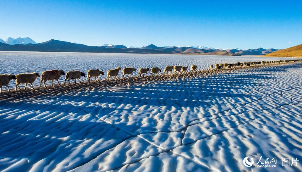 ?????? ...???? ??????? ?? ????? 